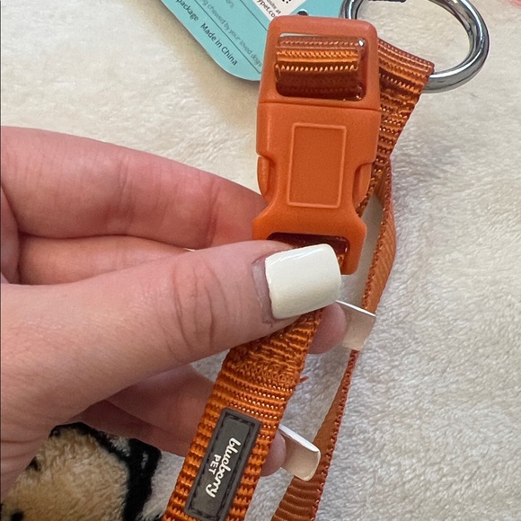 Orange Dog Collar - Picture 4 of 4